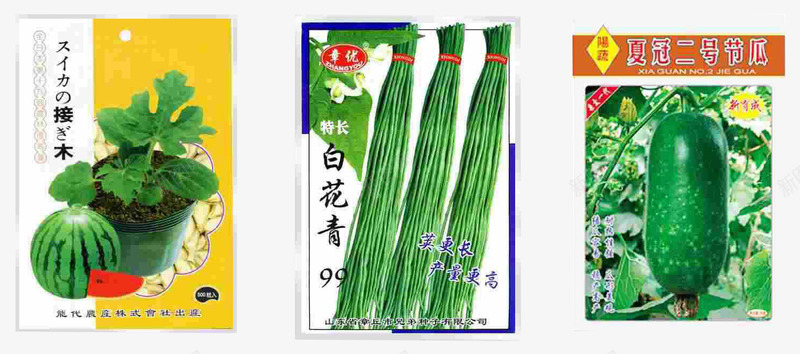 种子包装png免抠素材_新图网 https://ixintu.com 产品实物 种子包装 西瓜种子