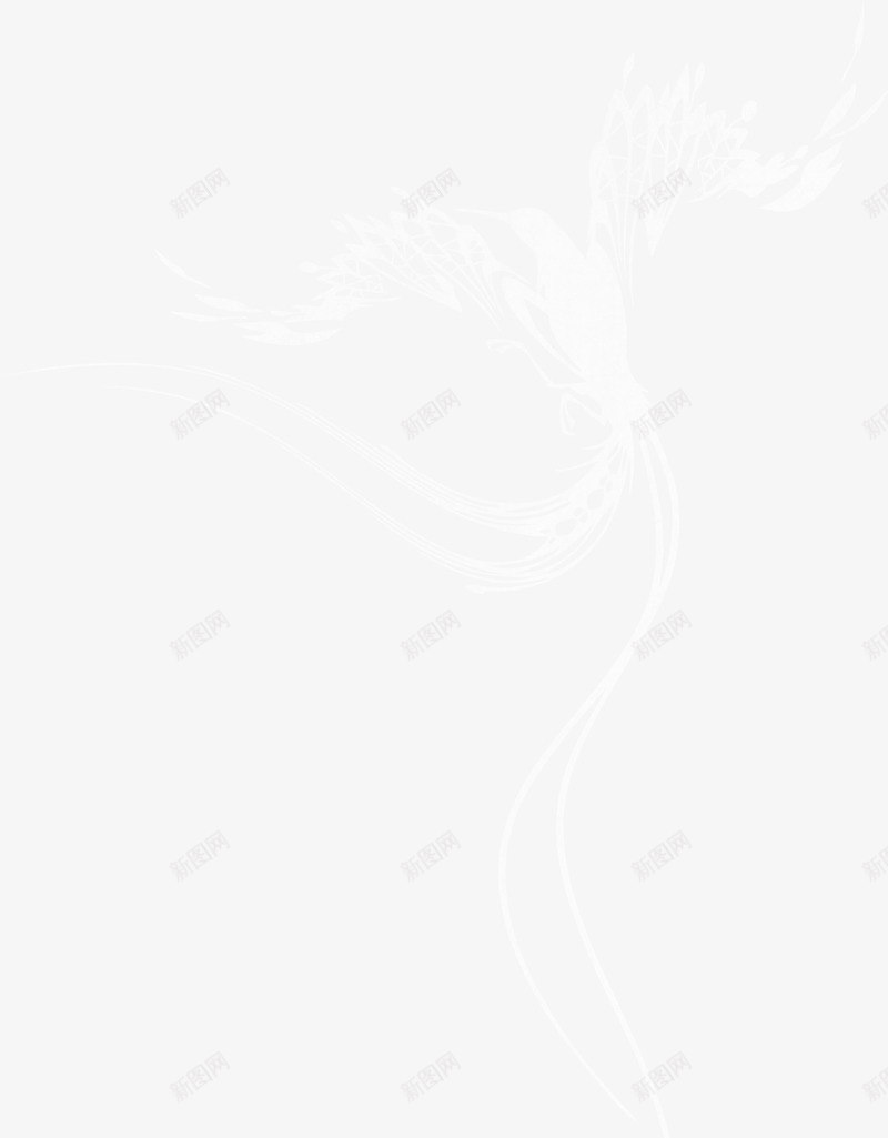 白色漂亮孔雀png免抠素材_新图网 https://ixintu.com 孔雀 漂亮孔雀 白色孔雀