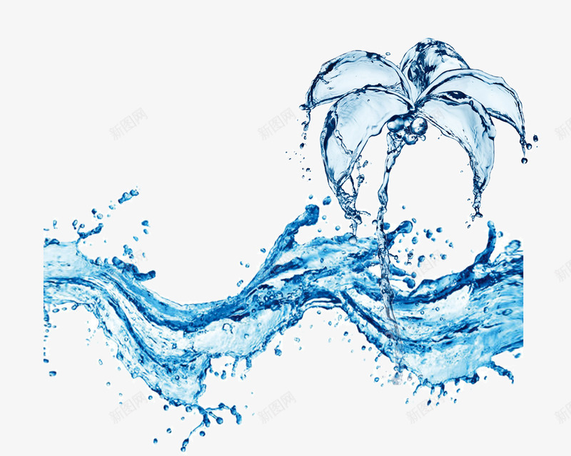 水花中的玉兰花png免抠素材_新图网 https://ixintu.com 水 水花 波浪 玉兰花