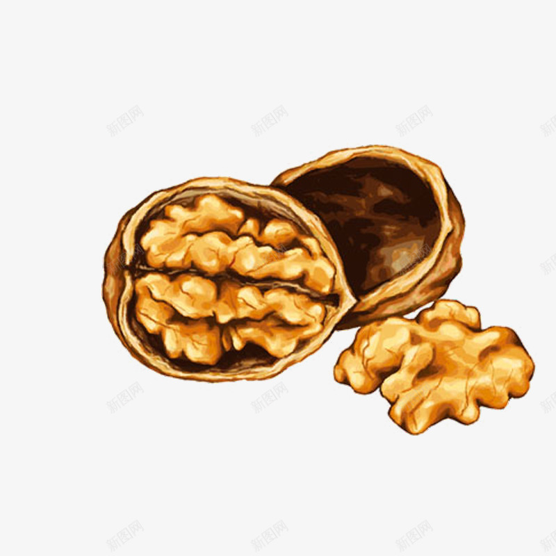 卡通手绘剥开的核桃png免抠素材_新图网 https://ixintu.com 养生食物 剥开的核桃 卡通手绘 核桃 美味的核桃 食物