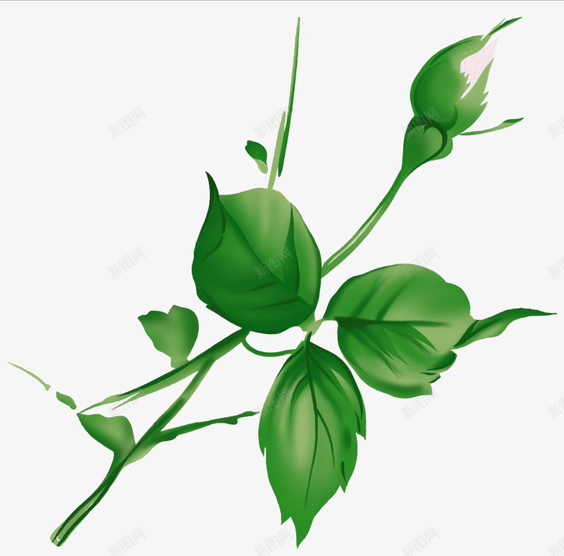 好看的卡通茎叶png免抠素材_新图网 https://ixintu.com 卡通版 好看 漂亮 碧草连天 绿色 茎叶 茎秆 草绿色