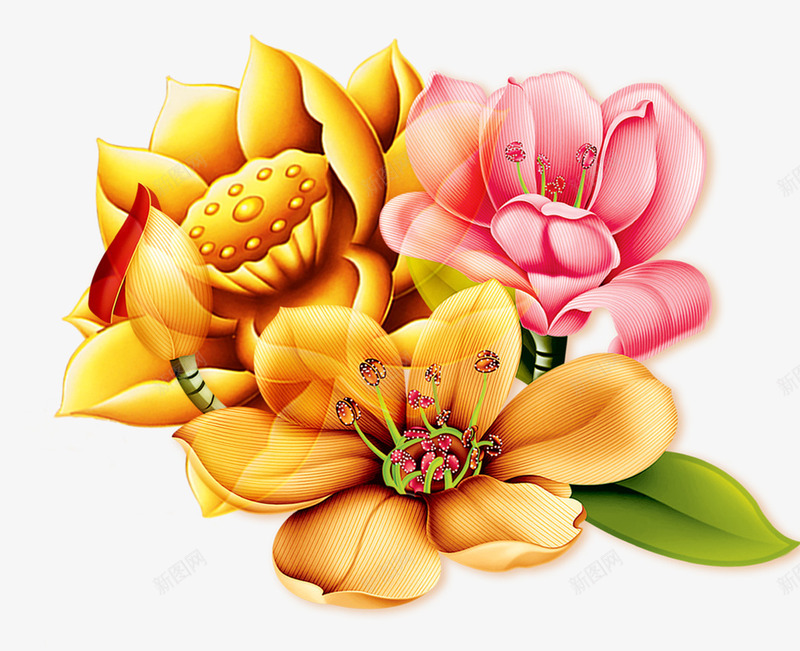 简约中国风花朵png免抠素材_新图网 https://ixintu.com 国花 花 花卉 花朵 菊花