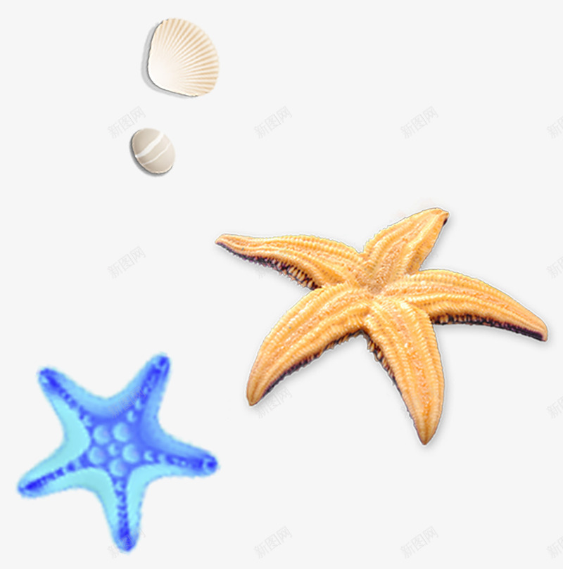 漂亮的海星png免抠素材_新图网 https://ixintu.com 卡通 手绘 棕色 海星 漂亮 简图 蓝色