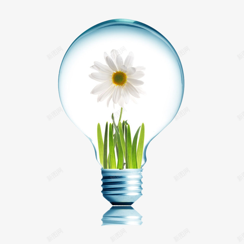 灯泡中的菊花png免抠素材_新图网 https://ixintu.com 创意 植物 灯泡 环保 菊花
