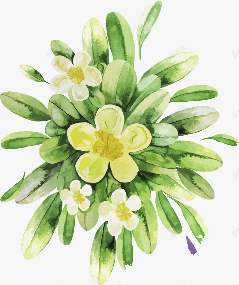 手绘春意盎然的菊花植物png免抠素材_新图网 https://ixintu.com 春意盎然 春意盎然的菊花 泡茶 菊花 菊花春意盎然 菊花降火泡茶 降火