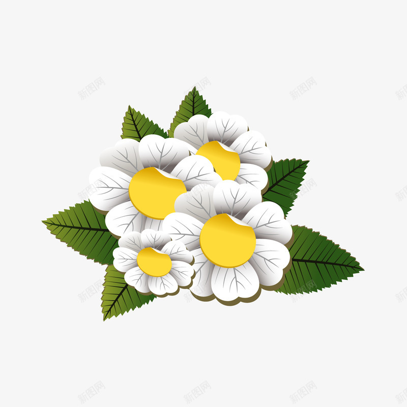 春天精美花png免抠素材_新图网 https://ixintu.com 春天 精美 花 野菊花