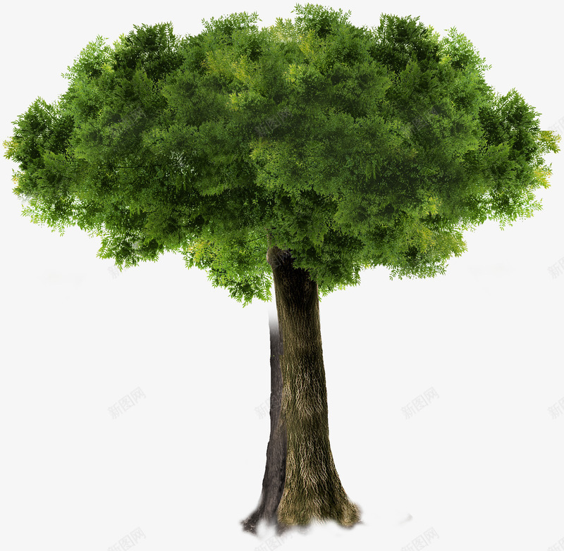 春天模糊大树场景png免抠素材_新图网 https://ixintu.com 场景 大树 春天 模糊