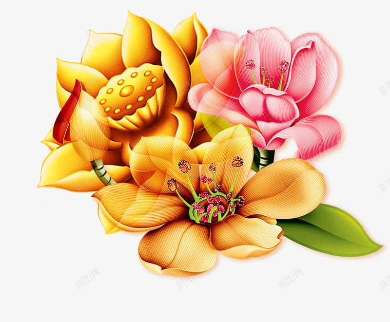 简约中国风花朵png免抠素材_新图网 https://ixintu.com 国花 花 花卉 花朵 菊花