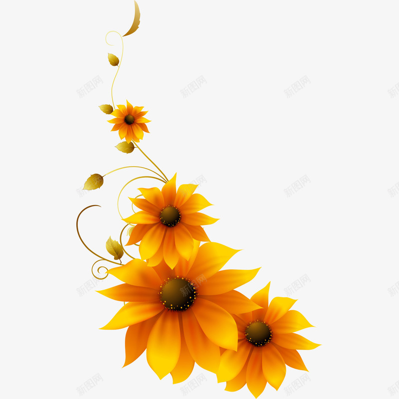 黄色的菊花搭配png免抠素材_新图网 https://ixintu.com 搭配 菊花 黄色 黄色的菊花搭配