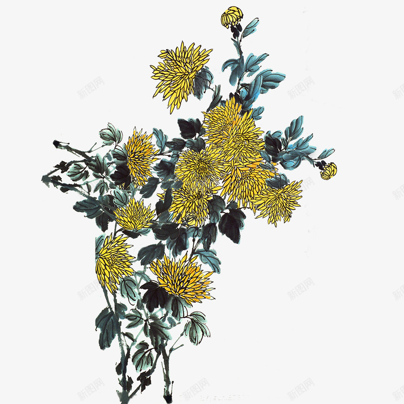 重阳节黄色菊花朵装饰免载psd免抠素材_新图网 https://ixintu.com 300像素 PNG透明底 背景 装饰 重阳节 重阳节黄色菊花朵装饰免下载载 黄菊花