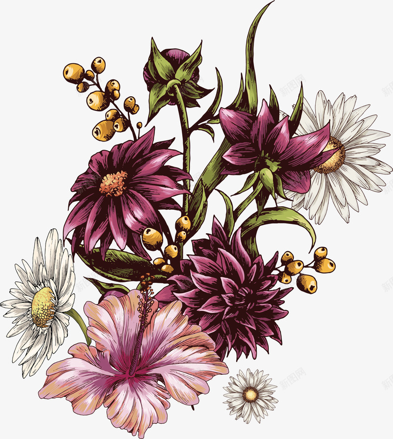 彩绘菊花矢量图ai免抠素材_新图网 https://ixintu.com 彩绘 花 菊花 矢量图
