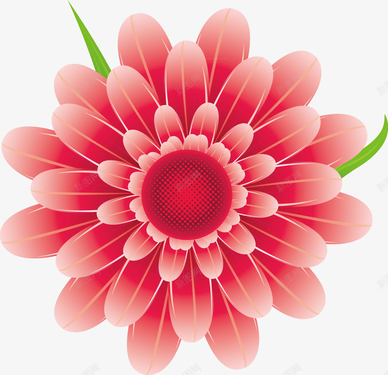 菊花粉色矢量图ai免抠素材_新图网 https://ixintu.com 修饰菊花 粉色 菊花 装饰 矢量图