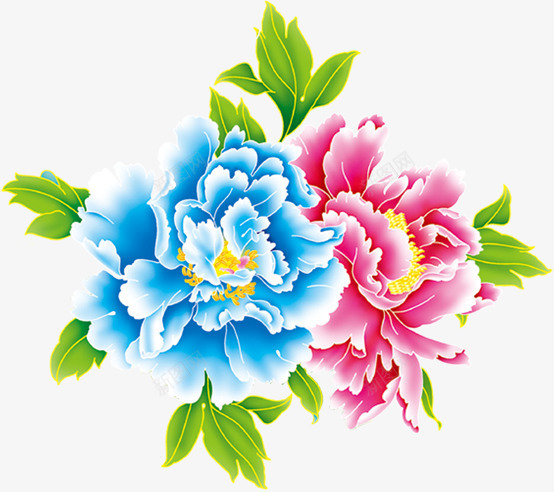 粉色蓝色菊花绿叶png免抠素材_新图网 https://ixintu.com 粉色 绿叶 菊花 蓝色