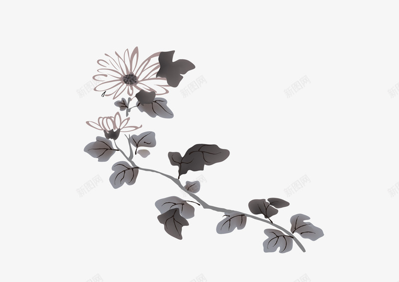菊花国画psd免抠素材_新图网 https://ixintu.com 国画 水墨画 菊花 菊花国画