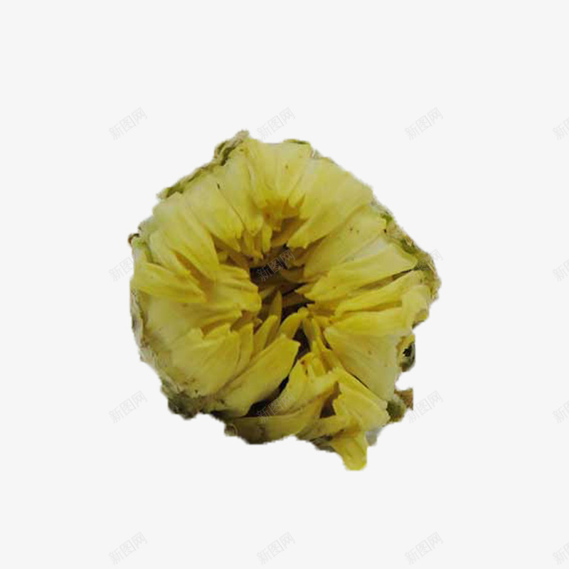 产品实物黄色胎菊茶png免抠素材_新图网 https://ixintu.com 下火茶 产品实物 保健品 养生花茶 杭白菊 胎菊 胎菊茶 花茶 茶 菊花 菊花茶 黄色菊花