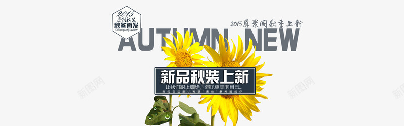 新品秋装上新海报版式png免抠素材_新图网 https://ixintu.com 女装海报 新品秋装上新海报版式 秋冬海报 菊花