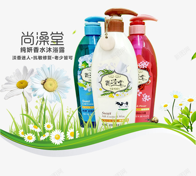 纯妍香水沐浴露png免抠素材_新图网 https://ixintu.com 产品实物 小菊花 沐浴露