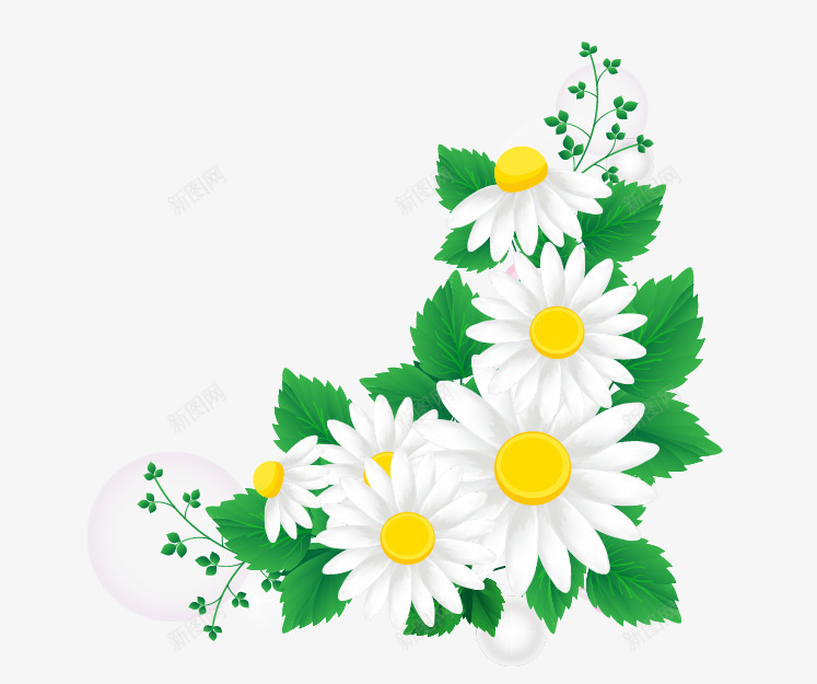 白菊png免抠素材_新图网 https://ixintu.com 白色花朵 绿叶 花瓣 菊花 黄色花蕊