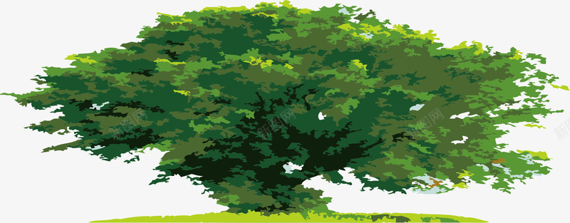 卡通大树手绘老树png免抠素材_新图网 https://ixintu.com 创意老树 卡通槐树 大树 树木 漂亮老树 矢量槐树 矢量老树 粗树 绿色老树 老树 老槐树