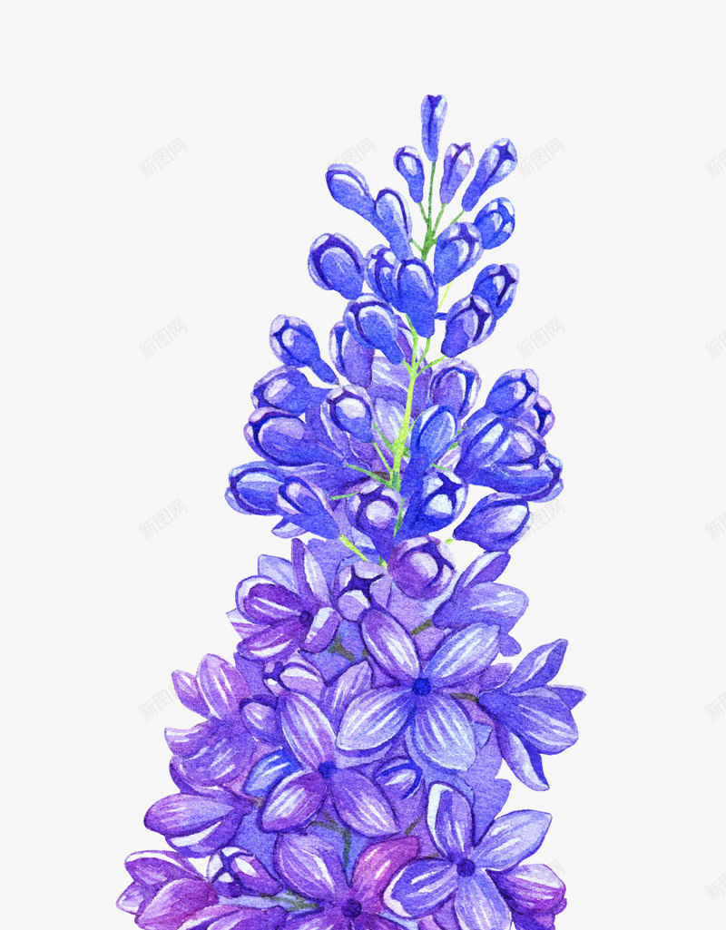 一个精美漂亮的花瓶png免抠素材_新图网 https://ixintu.com 一个 免扣 漂亮 漂亮的花瓶 精美 精美的花瓶 花瓶