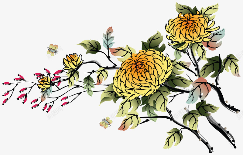 壁纸png免抠素材_新图网 https://ixintu.com 壁纸设计 精美花纹 花纹 花纹背景 花草 菊花