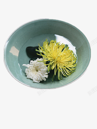 碗中的菊花png免抠素材_新图网 https://ixintu.com 瓷碗素材 碗图片 菊花元素 菊花素材 菊花茶