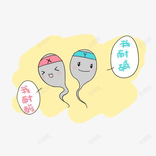 卡通X精子和Y精子png免抠素材_新图网 https://ixintu.com 卡通 女孩 性主题 插画 漫画 生殖 男孩 精子 遗传