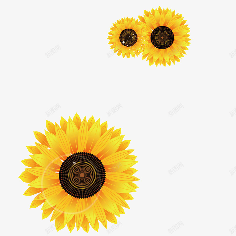 精美菊花装饰矢量图ai免抠素材_新图网 https://ixintu.com 精美 菊花 装饰 矢量图