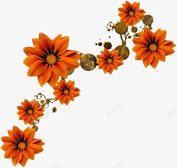 黄色花卉装饰图案png免抠素材_新图网 https://ixintu.com 花卉 菊花 装饰图案 黄色