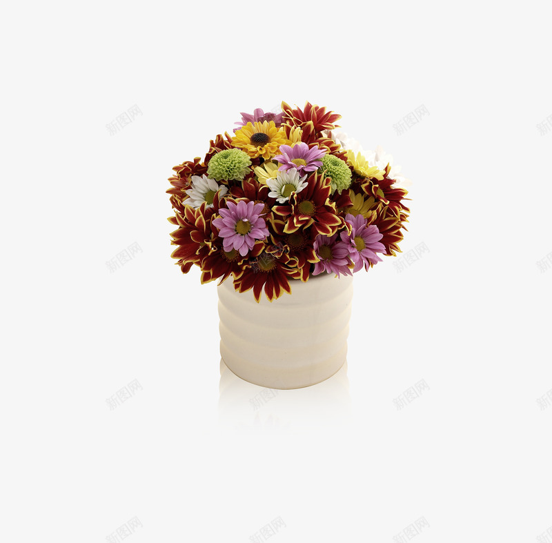 漂亮的花篮png免抠素材_新图网 https://ixintu.com 唯美 小菊花 摆件 装饰