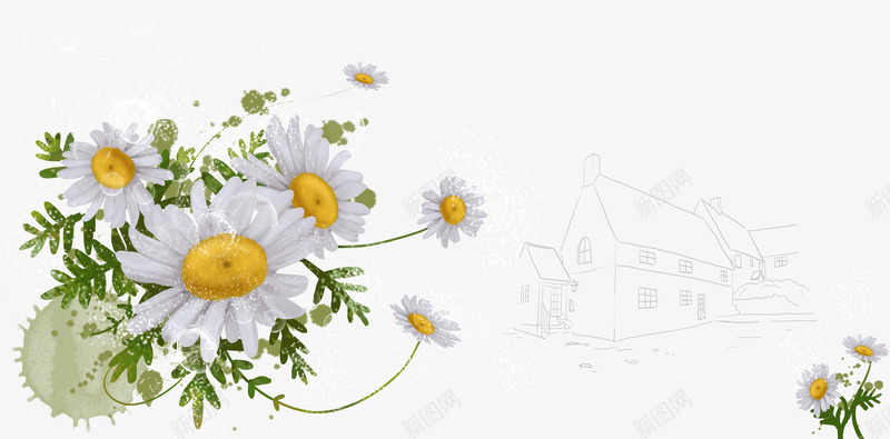 白色菊花清新背景png免抠素材_新图网 https://ixintu.com 清新 白色 背景 雏菊