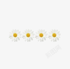 菊花png免抠素材_新图网 https://ixintu.com 创意菊花 小清新 白色花瓣 菊花图案 雏菊