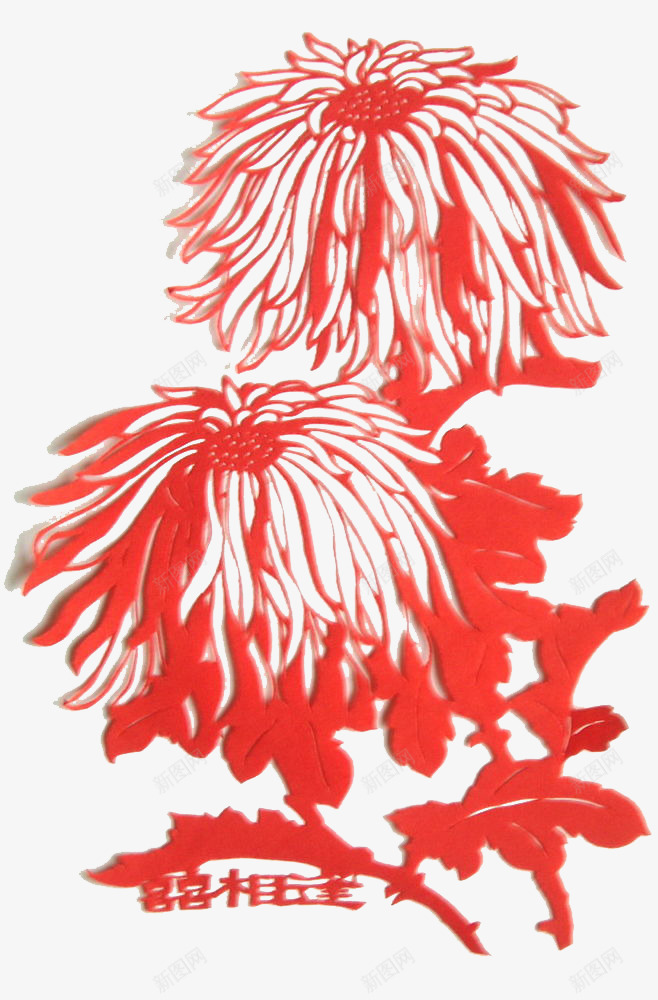 菊花剪纸psd免抠素材_新图网 https://ixintu.com 剪纸 植物 窗花 红色 菊花 装饰