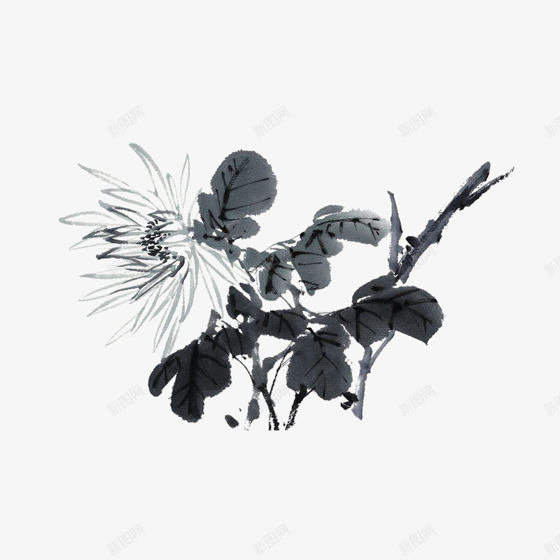 国画菊花png免抠素材_新图网 https://ixintu.com 书法绘画 国画 国画菊花 水墨画 水墨菊花 菊花