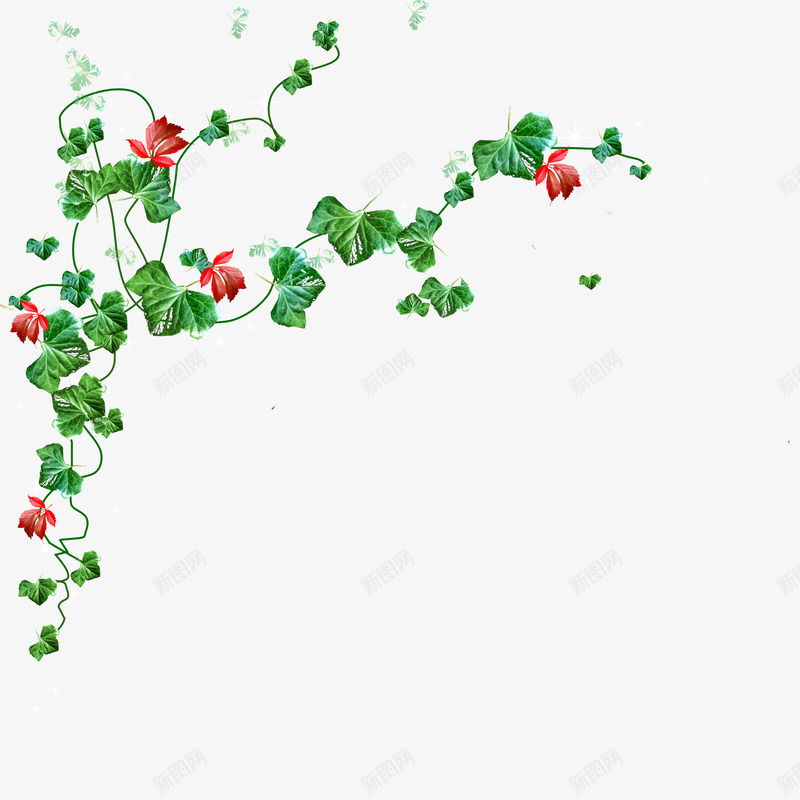 漂亮花叶png免抠素材_新图网 https://ixintu.com 叶子 枝叶 漂亮树叶 漂亮花朵 绿叶