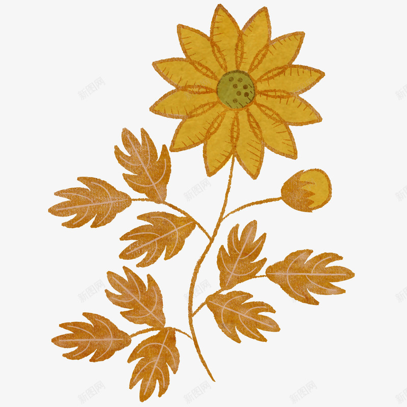 金色手绘菊花图案纹样png免抠素材_新图网 https://ixintu.com 图案纹样 手绘 菊花 金色 金色手绘菊花图案纹样