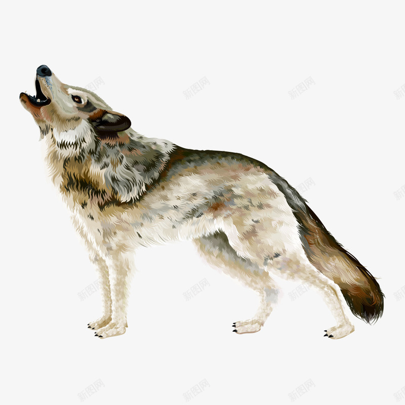 卡通狼狗png免抠素材_新图网 https://ixintu.com 动物插画 卡通动物 卡通动物漫画 头狼 独狼 狼狗 生物世界 陆地动物