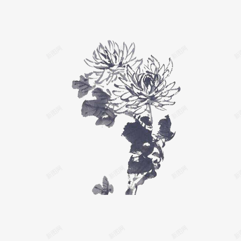 手绘国画菊花png免抠素材_新图网 https://ixintu.com 国画 国画菊花 手绘国画菊花 水墨画 水墨菊花 菊花