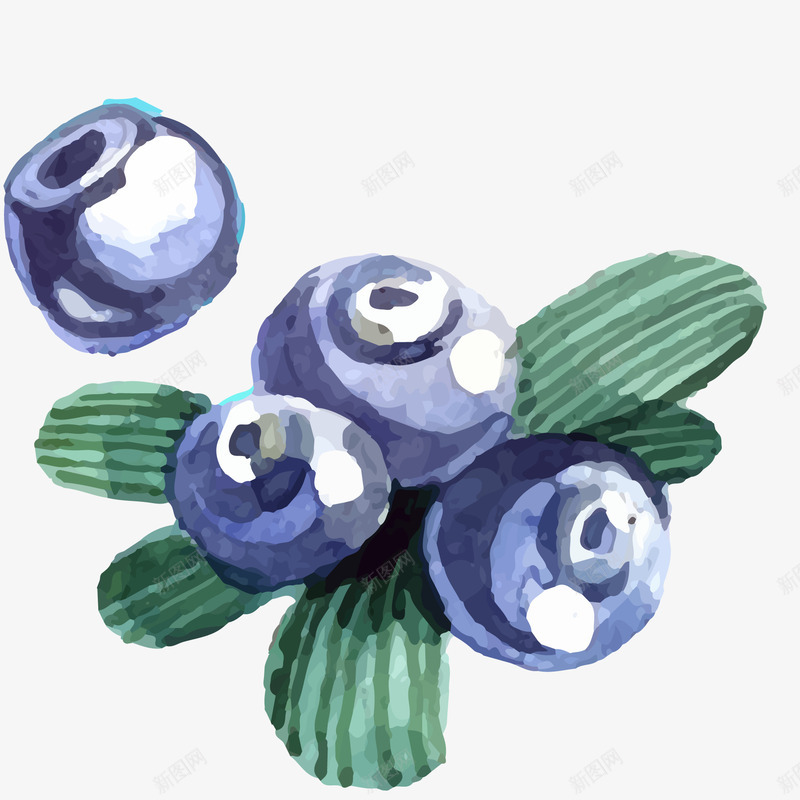 手绘彩绘蓝莓矢量图ai免抠素材_新图网 https://ixintu.com 叶子 彩绘 手绘 植物 水果 蓝莓 食物 矢量图
