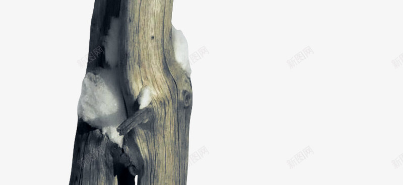 自然导航条png免抠素材_新图网 https://ixintu.com 免费png 导航标 自然界 装饰图案