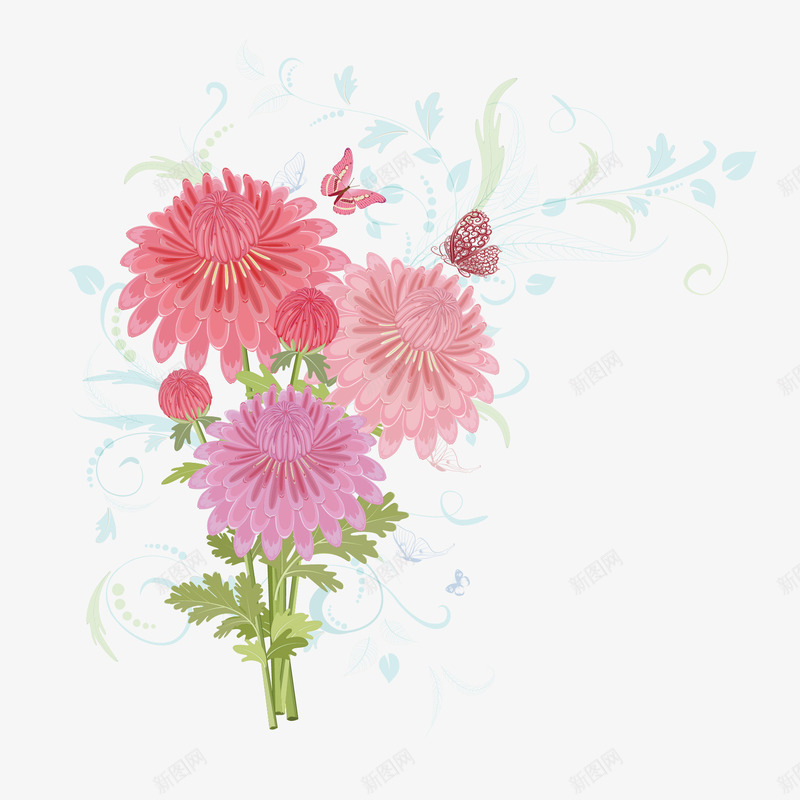 盛开的菊花png免抠素材_新图网 https://ixintu.com 花苞 蝴蝶 鲜花
