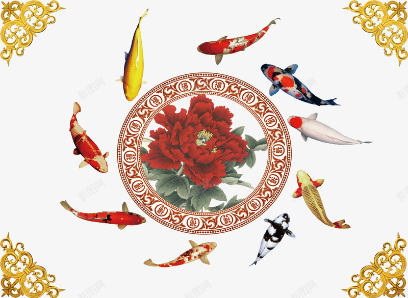锦上添花背景图png免抠素材_新图网 https://ixintu.com 牡丹 电视墙背景图 花纹 鲤鱼