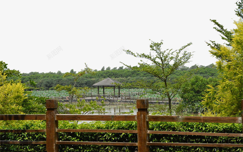 南沙湿地png免抠素材_新图网 https://ixintu.com 南沙 湿地 美丽 观赏 风景