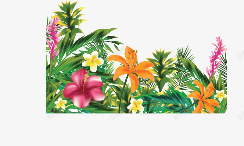 美丽灿烂夏日花丛矢量图ai免抠素材_新图网 https://ixintu.com 夏日花丛 夏花 灿烂夏花 矢量png 美丽花丛 花丛 矢量图