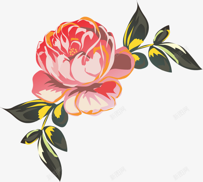 电脑手绘粉色牡丹png免抠素材_新图网 https://ixintu.com 手绘 粉色 花卉