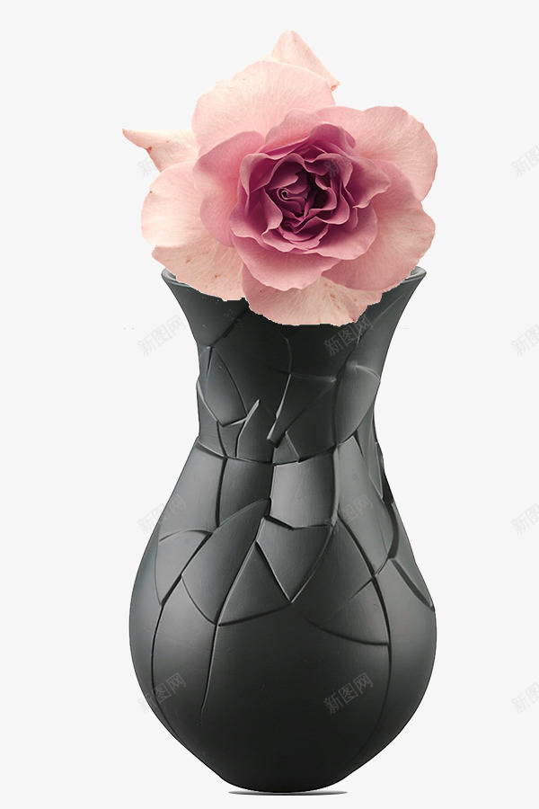 肉粉色艺术插花装饰PSDpsd免抠素材_新图网 https://ixintu.com 牡丹 肉粉色 艺术插花 芍药 花开 装饰 装饰PSD