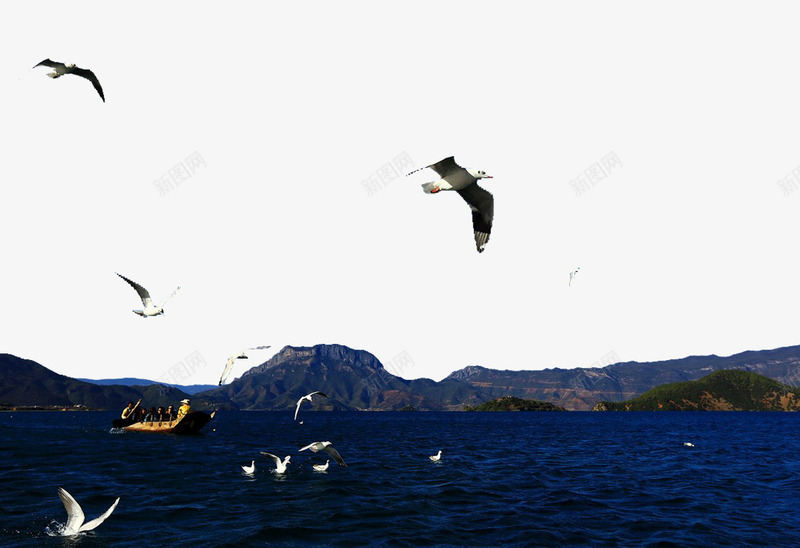 泸沽湖美丽景色png免抠素材_新图网 https://ixintu.com 名胜古迹 图库 地方景点 实物图 小船 摄影图 摄影图片 旅游摄影 泸沽湖 海鸥 清晰 高清图片