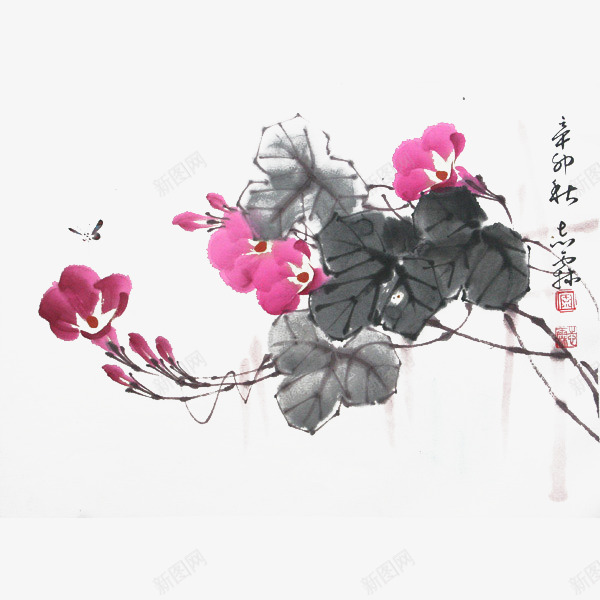 中国风水墨牵牛花png免抠素材_新图网 https://ixintu.com 写意 喇叭花 国画 插图 水墨 水墨牵牛花 牵牛花 花鸟图