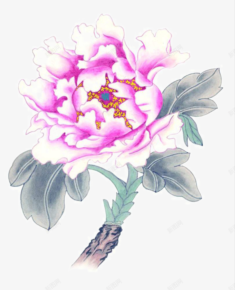 工笔牡丹png免抠素材_新图网 https://ixintu.com 中国画 中国风装饰 写意国画 国画 国粹 大写意 宣纸国画 彩墨国画 浓墨淡彩 画 画集