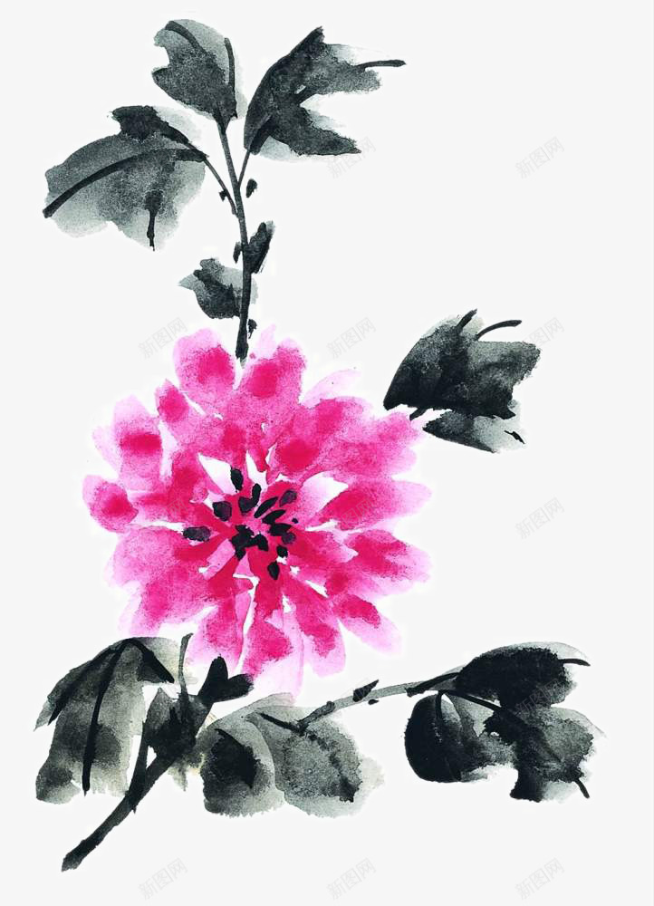 国粹牡丹png免抠素材_新图网 https://ixintu.com 写意 国画花卉 国粹 宣纸画 手绘花草 手绘装饰 水墨国画